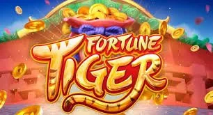 rs7866 Casino